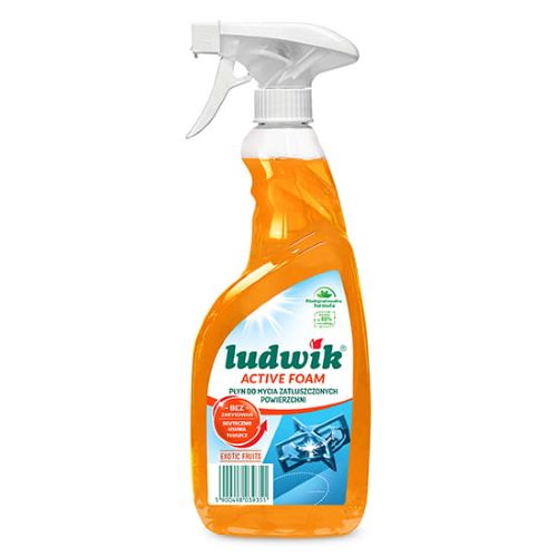 LUDWIK SPRAY D/TLUSZCZ.600ML