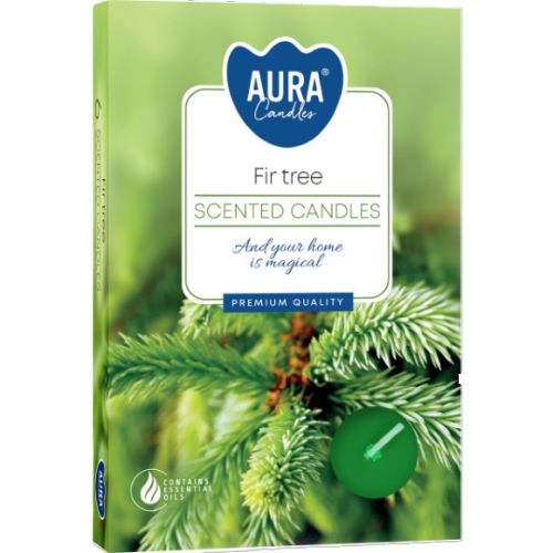 Podgrzewacz 6SZT jodła