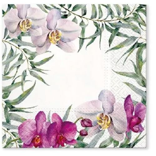 PAW 20SZT 33X33 SERWETKI ELEGANT ORCHID /717