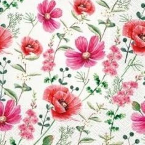 PAW SERWETKI TAT RASPBERRY F.TL