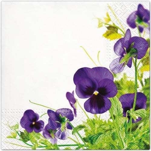 PAW SERWETKI TAT PANSIES FRA.