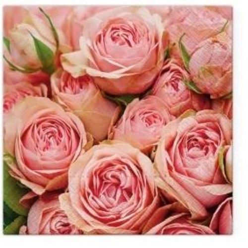 PAW SERWETKI LOTS OF ROS.