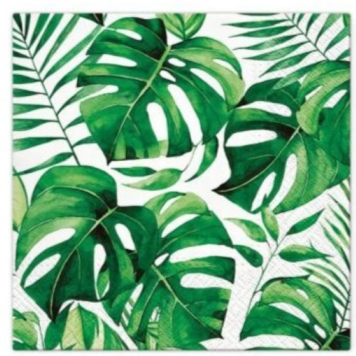 PAW SERWETKI TAT MONSTERA TL12160