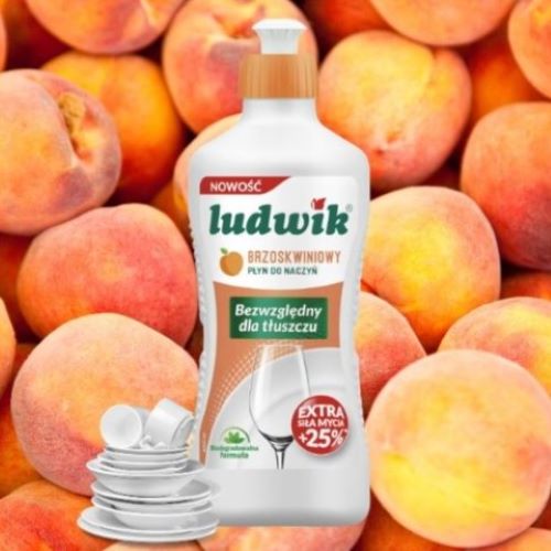LUDWIK PŁYN DO NACZYŃ 450G BRZOSKWINIA