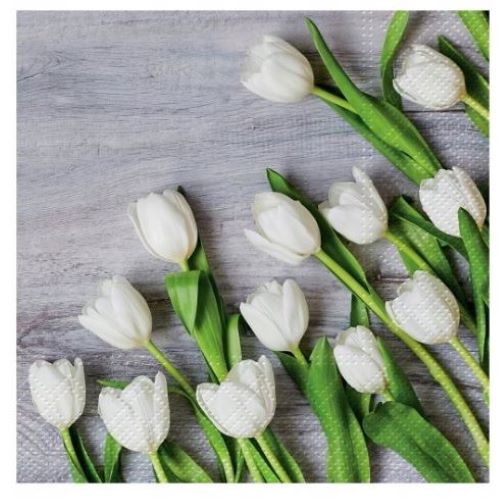 PAW Serwetki WHITE TULIPS 20szt