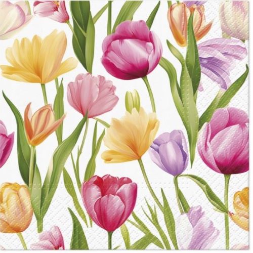 PAW26 SERWETKI Tulip Dream Patter 20szt